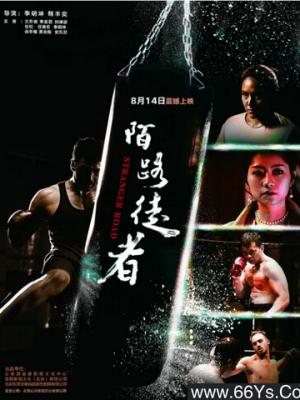 国漫剧集雾海棹歌封面